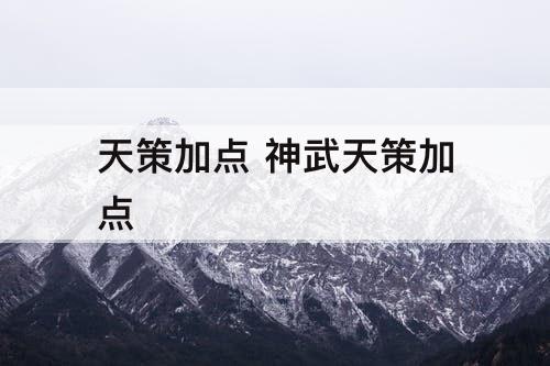 天策加点 神武天策加点