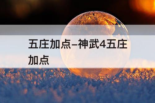 五庄加点-神武4五庄加点