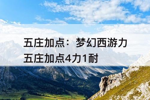 五庄加点：梦幻西游力五庄加点4力1耐