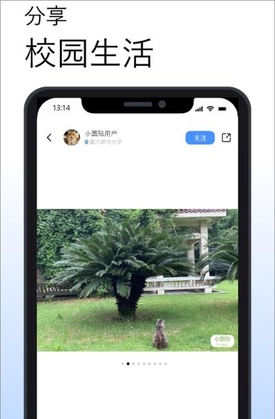 小圆贴截图