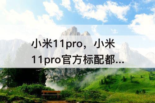小米11pro，小米11pro官方标配都有什么