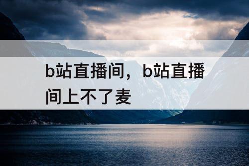 b站直播间，b站直播间上不了麦