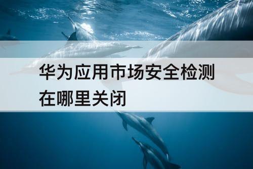 华为应用市场安全检测在哪里关闭