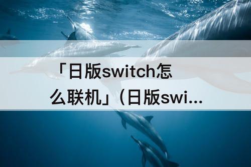 「日版switch怎么联机」(日版switch怎么联机一起玩)
