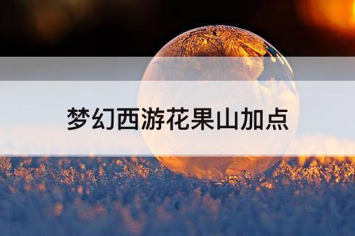梦幻西游花果山加点