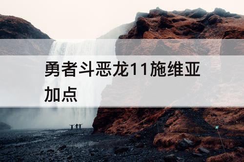 勇者斗恶龙11施维亚加点