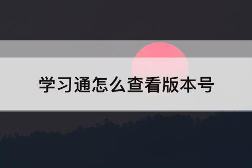 学习通怎么查看版本号