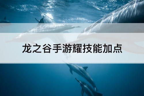 龙之谷手游耀技能加点