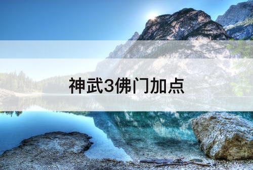 神武3佛门加点
