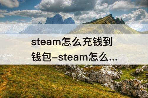 steam怎么充钱到钱包-steam怎么充钱到钱包不用银行卡
