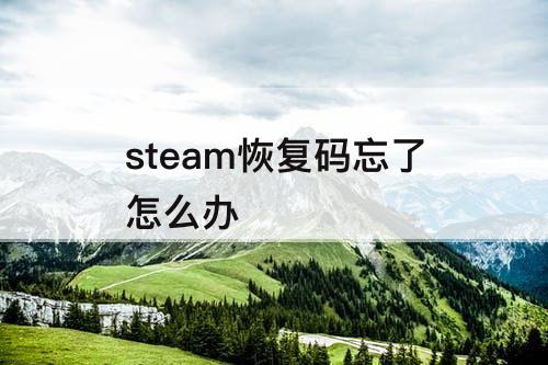 steam恢复码忘了怎么办