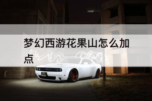 梦幻西游花果山怎么加点
