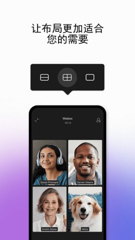 Webex截图