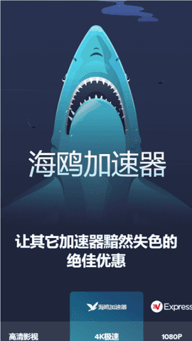 海鸥加速器
