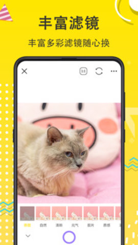 猫狗开心一刻截图