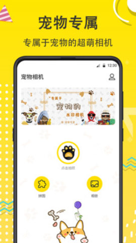 猫狗开心一刻截图