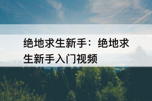 绝地求生新手：绝地求生新手入门视频