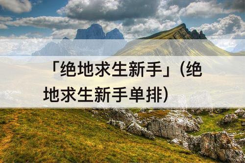 「绝地求生新手」(绝地求生新手单排)