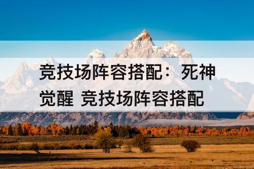 竞技场阵容搭配：死神觉醒 竞技场阵容搭配