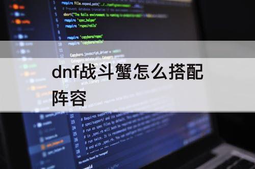 dnf战斗蟹怎么搭配阵容