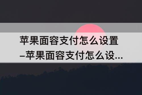 苹果面容支付怎么设置-苹果面容支付怎么设置微信