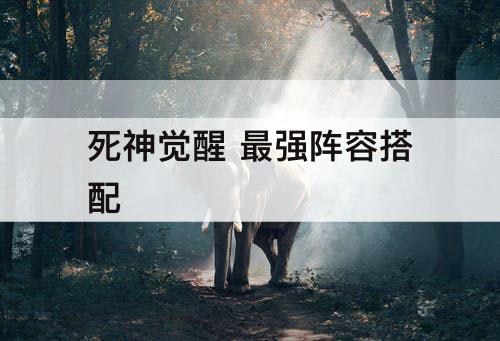 死神觉醒 最强阵容搭配