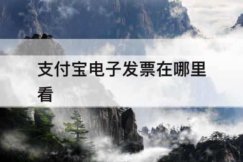 支付宝电子发票在哪里看