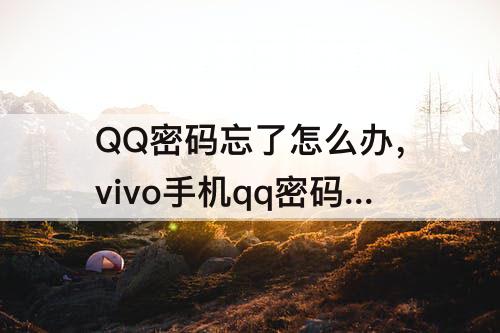 QQ密码忘了怎么办，vivo手机qq密码忘了怎么办找回