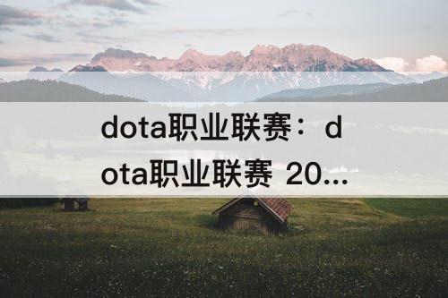 dota职业联赛：dota职业联赛 2008