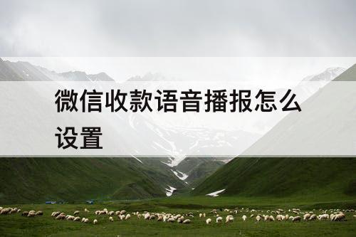 微信收款语音播报怎么设置