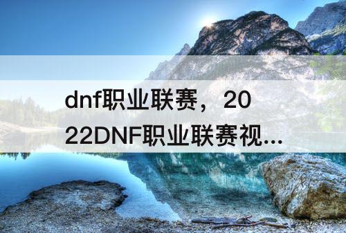 dnf职业联赛，2022DNF职业联赛视频