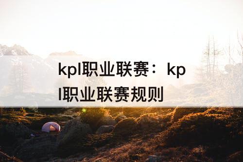 kpl职业联赛：kpl职业联赛规则