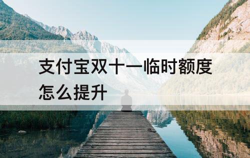 支付宝双十一临时额度怎么提升