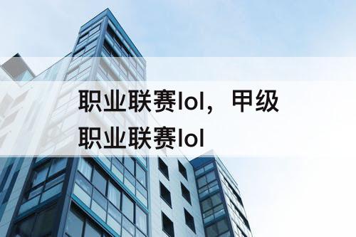 职业联赛lol，甲级职业联赛lol