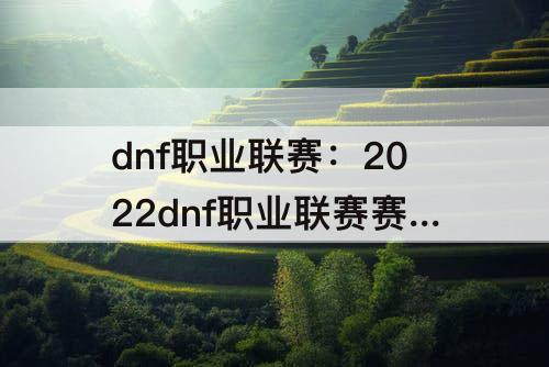 dnf职业联赛：2022dnf职业联赛赛制