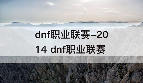dnf职业联赛-2014 dnf职业联赛