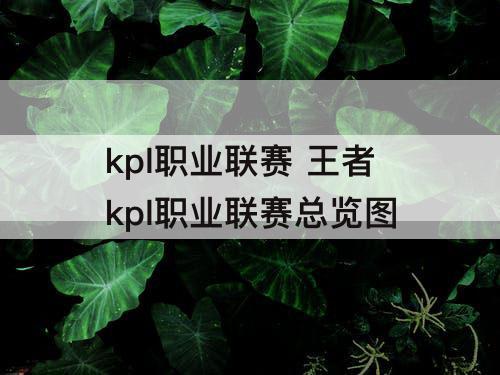 kpl职业联赛 王者kpl职业联赛总览图