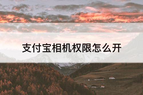 支付宝相机权限怎么开