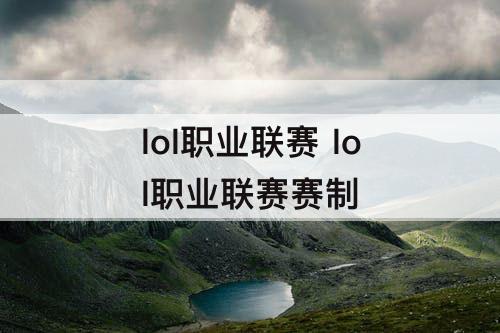 lol职业联赛 lol职业联赛赛制