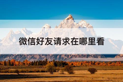 微信好友请求在哪里看