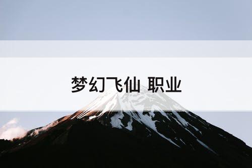 梦幻飞仙 职业