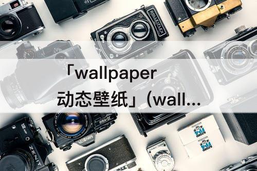 「wallpaper动态壁纸」(wallpaper动态壁纸导出怎么用)