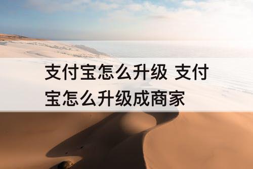 支付宝怎么升级 支付宝怎么升级成商家