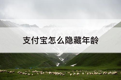 支付宝怎么隐藏年龄