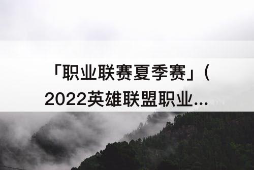 「职业联赛夏季赛」(2022英雄联盟职业联赛夏季赛)