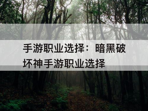 手游职业选择：暗黑破坏神手游职业选择