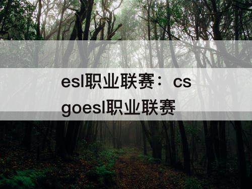 esl职业联赛：csgoesl职业联赛