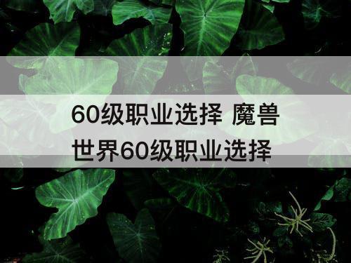 60级职业选择 魔兽世界60级职业选择