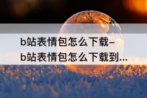 b站表情包怎么下载-b站表情包怎么下载到微信