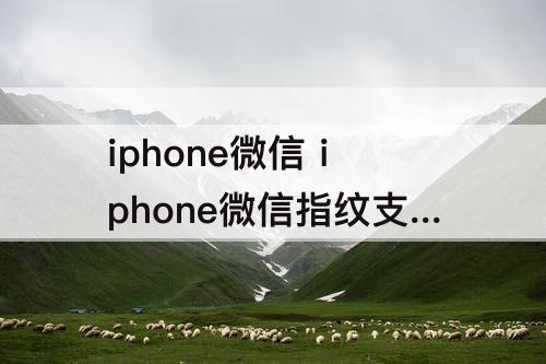 iphone微信 iphone微信指纹支付